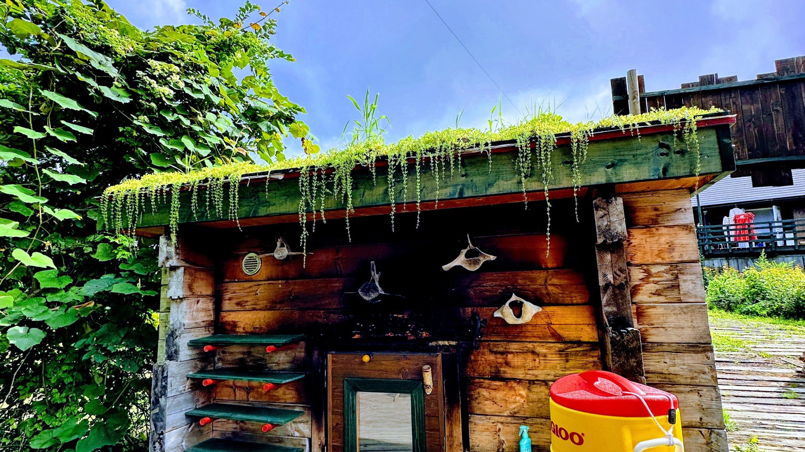 しぇろくまサウナ 草屋根の手作りサウナ小屋