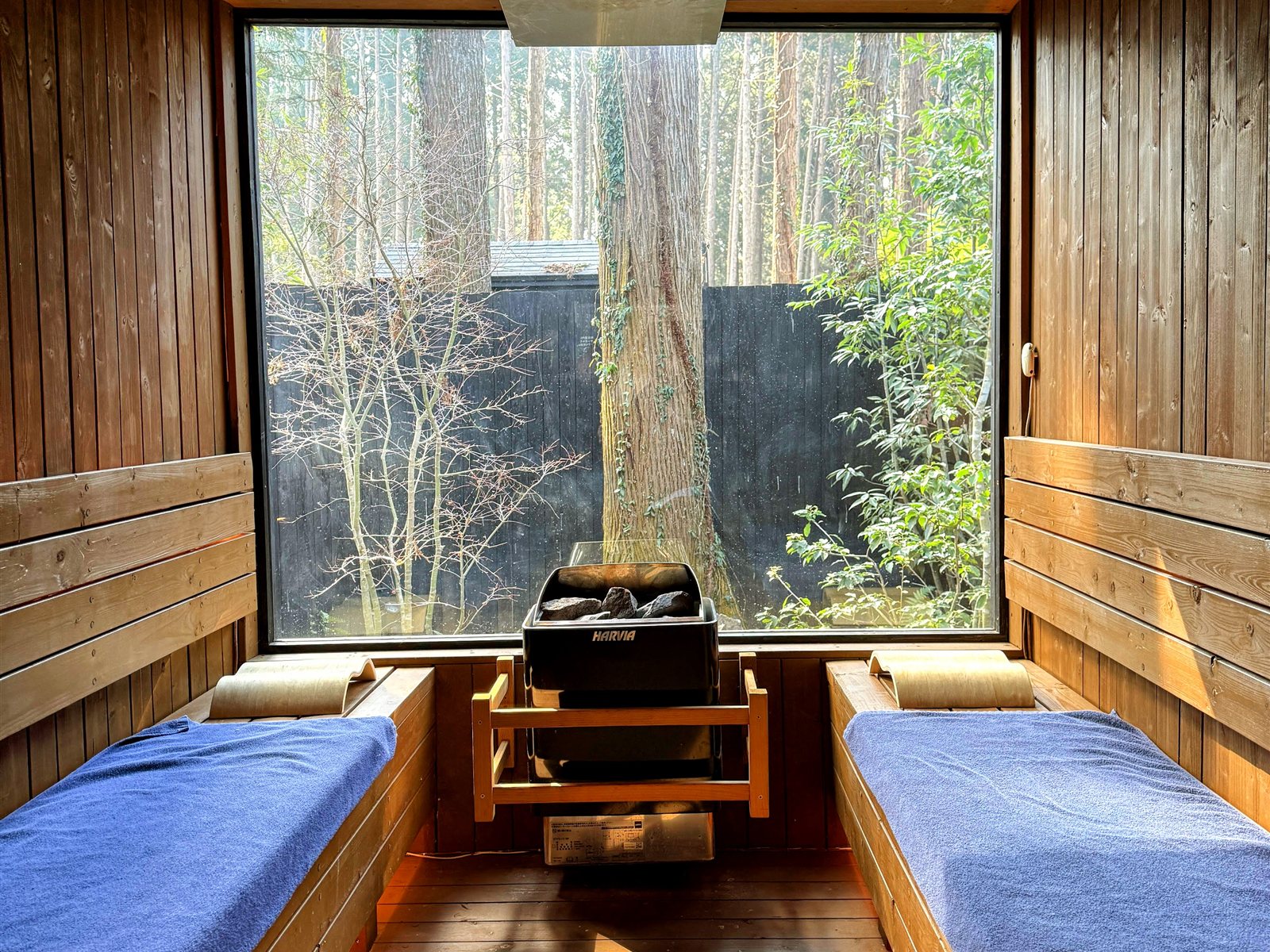 Render Fika Sammuの小屋サウナ内部。中央にHARVIAの電気ストーブ、正面の壁一面が大きな窓になっていて木立が見える。木製の枕とバスタオルが用意されている