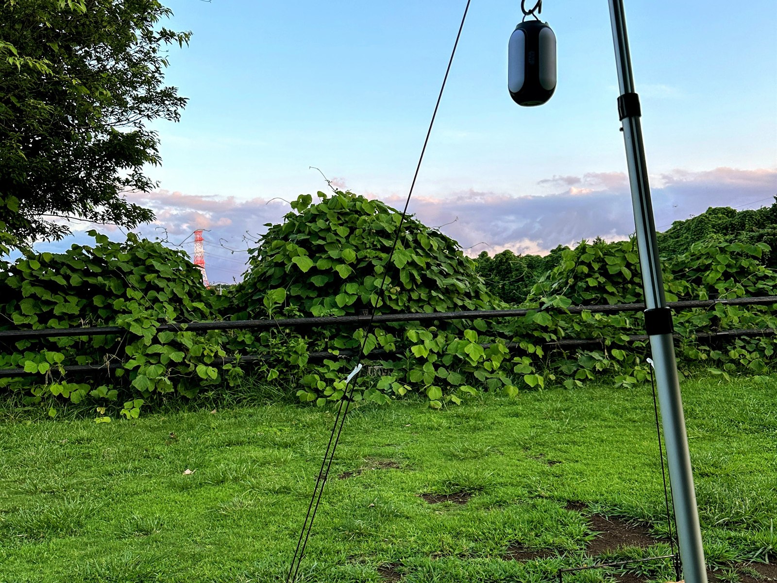 ogawa GRAND lodge FIELDのオートキャンプサイト。芝生の上にタープと焚き火台、夕暮れの空